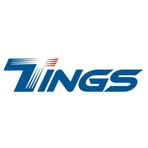 THE TINGS INTERNATIONAL LTD