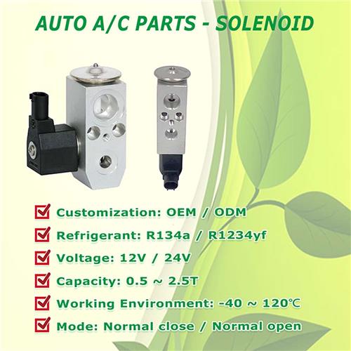 Electromagnetic Expansion Valve/ Solenoid - Automobile ac