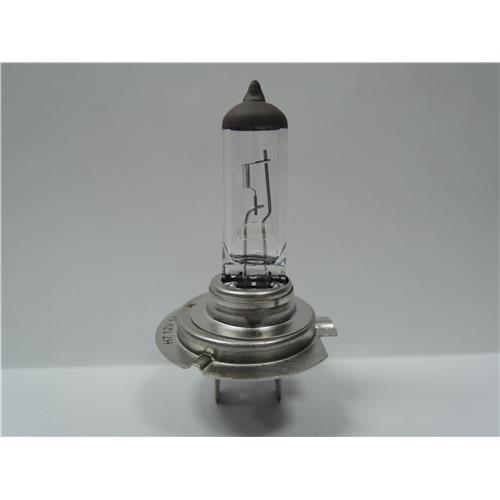 Halogen Lamp