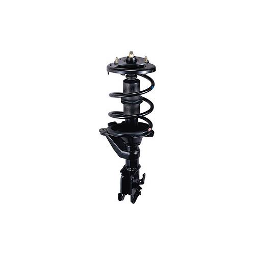 Strut & shock absorber