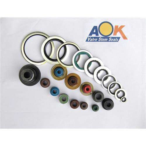 Bonded Seals (Washer) and Valve Stem Seals