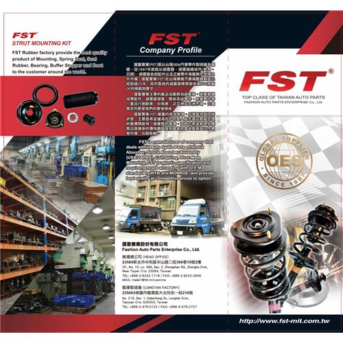 shock absorber & strut mount