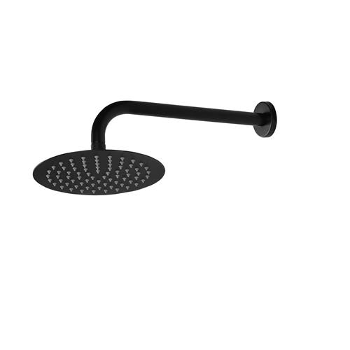 Shower Head with Shower Arm